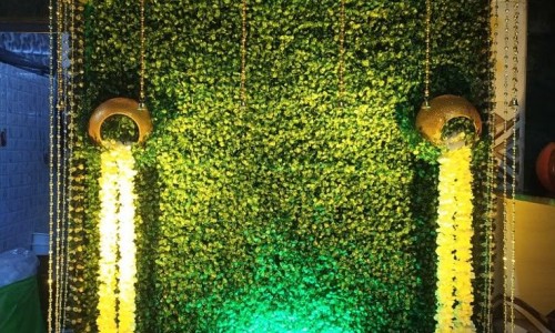 【变色叶子植物有毒吗】变色叶花怎样养 - 变色叶功效网