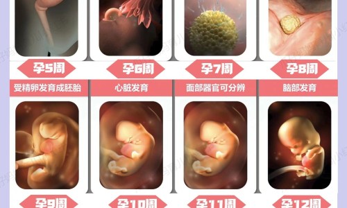 变色叶花卉-【变色叶子植物有毒吗】变色叶花怎样养 - 变色叶功效网