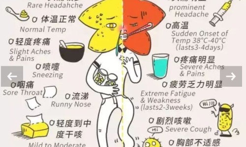 【变色叶子植物有毒吗】变色叶花怎样养 - 变色叶功效网