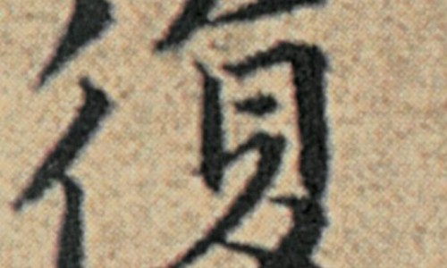 变色叶树图片-【变色叶子植物有毒吗】变色叶花怎样养 - 变色叶功效网